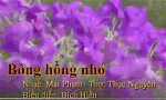 bong-hong